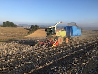 Projet Bio-Source pour la Rénovation Energétique de l'Habitat