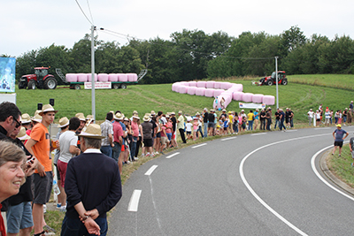 Du rose dans les champs : le geste de solidarité des agriculteurs de Vivadour
